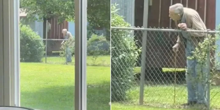 94-jarige opa heeft de liefste routine met de honden van zijn buren 1