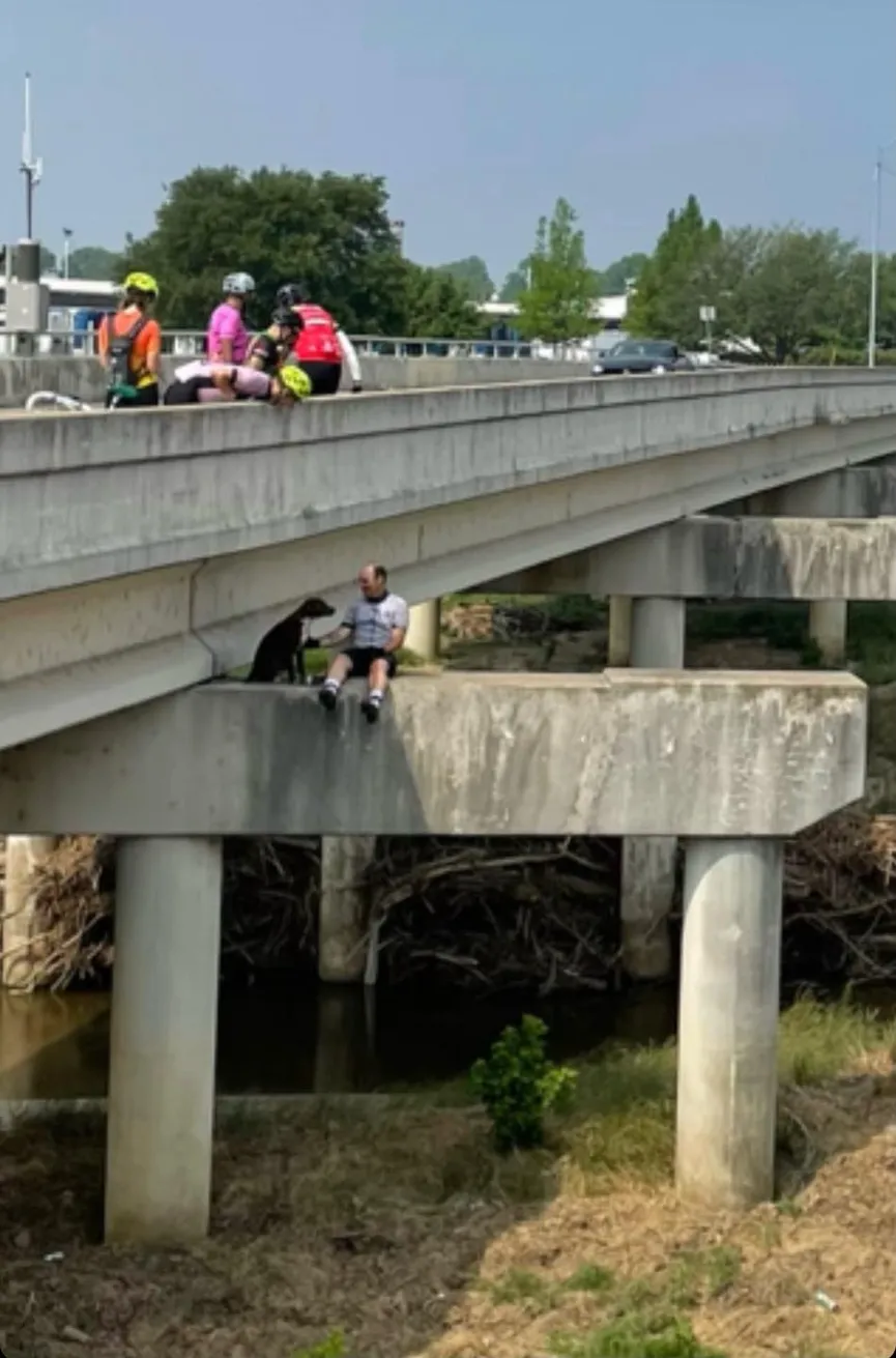 Fietsers redden een Pitbull die vastzat op een gevaarlijke plek op een brug 3