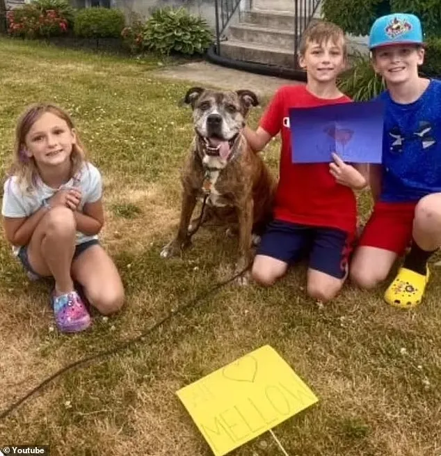 Hele buurt komt opdagen voor laatste wandeling van hond met terminale kanker 6