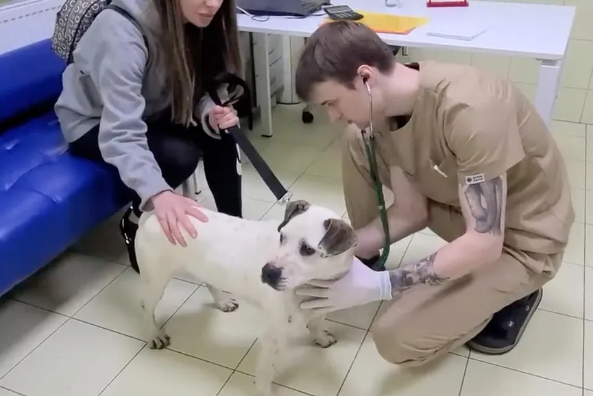 Hond zijn hele leven vastgeketeked aan zware ketting kan vreugde niet verbergen als hij zijn redder ziet 6