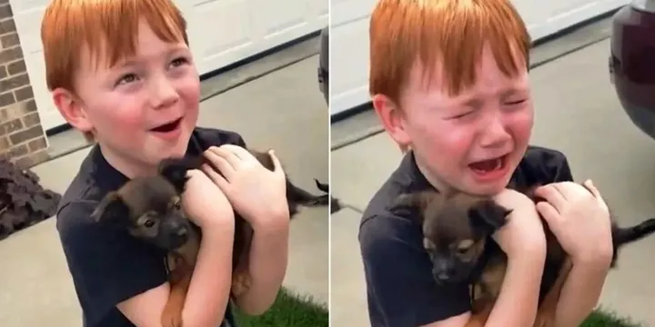 Jongen spaarde heel lang voor een puppy maar zijn oma besloot hem te verrassen 1