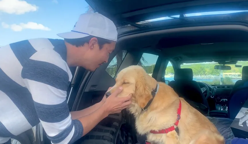 Neglected dog tied to chain never experienced love until someone rescued her 4