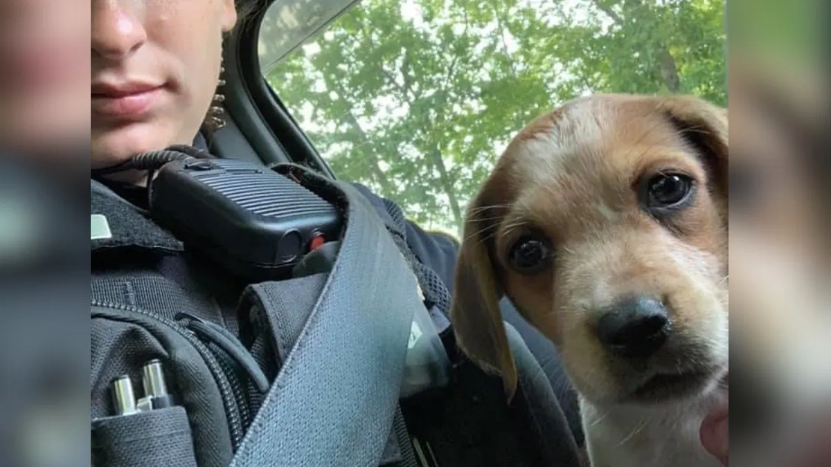 Politieagente adopteert achtergelaten puppy nadat ze haar leven had gered 1