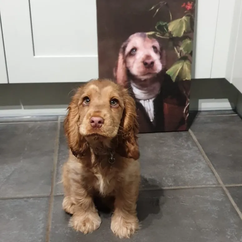 Puppy With Cute Eyes Amazes Internet: 