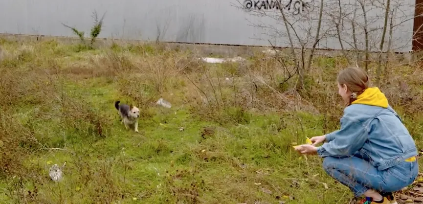 Stray puppy overwhelmed by emotions upon reuniting with lost mother 5