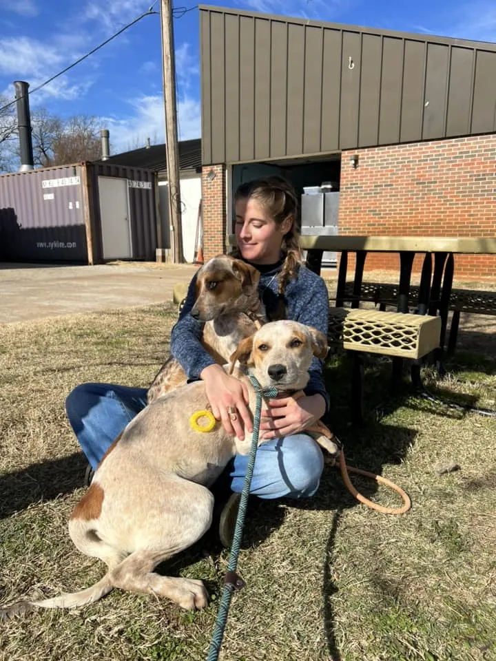 Street dog is devastated that her best friend is going to a new home without her 3