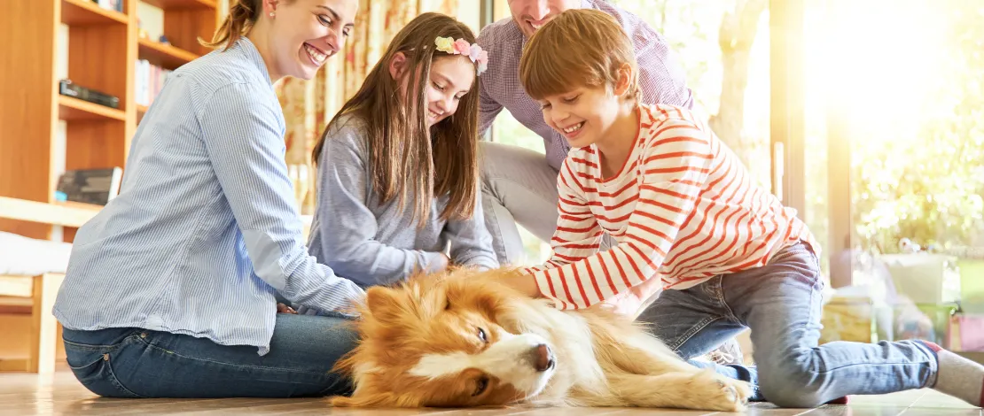 Socializing your new dog
